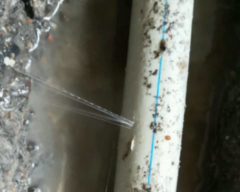 合浦卫生间测漏水多少钱